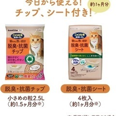 猫トイレの画像