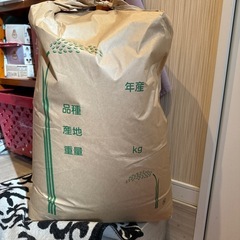 令和6年 新米 コシヒカリ玄米 30キロ  