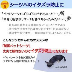 決まりました！洗えるペットシーツ　ベージュ　Lサイズ　65×100の画像