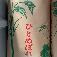 ※先着順　話し合い中　令和5年産　ひとめぼれ　玄米　30㎏
