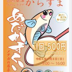 9/8めだかすくい