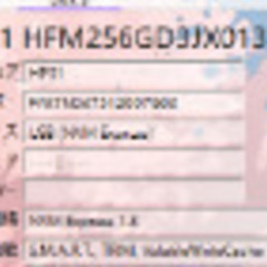 ほぼ未使用 PCIe3.0 接続 M.2  SSD256GB