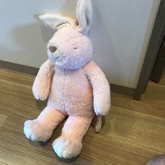 うさぎのここ