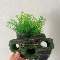 水槽用飾り売ります。