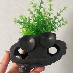 水槽用飾り売ります。の画像