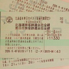 【乗り放題】北海道＆東日本パス  2日分