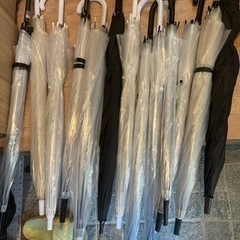 中古のビニール傘の画像