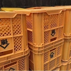 コンテナ　　みかん　果実コンテナ中古の画像