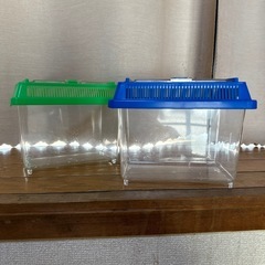  虫かご 2つの画像