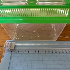  虫かご 2つの画像
