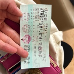 青春18きっぷ、1回分