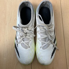 24㌢サッカートレーニングシューズ