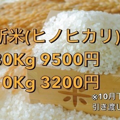 【受付再開】新米🌾10月下旬頃引き渡し