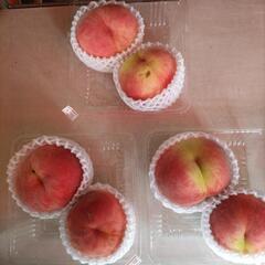 【定休日前セール】長野県の桃　2入大玉　税込400円