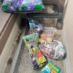 昆虫　飼育セット　腐葉土、ケースなど