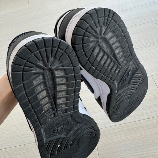 靴/バッグ NIKE DUNKLOW 25cm