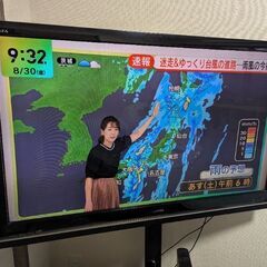 液晶テレビ REGZA レグザ 東芝 TOSHIBA