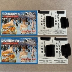 9月30日まで有効　ナガシマジャンボ海水プールチケット