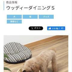 ペット用 テーブル2個/ドギーマンの画像