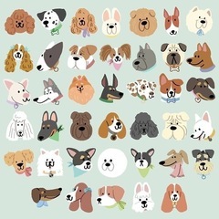 犬友、猫友 募集✿:*