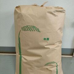 2024年度　新米30kg　3-1