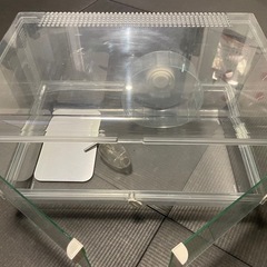 グラスハーモニー600