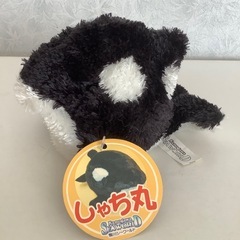 しゃち丸　鴨川シーワールド　ぬいぐるみ　カバンチャーム