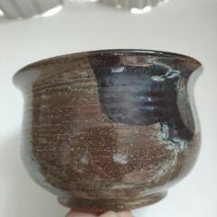 これなんですかね…の画像