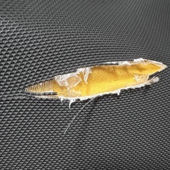アクシスz シートの画像