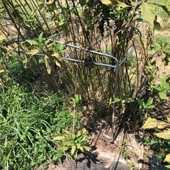 軽トラ用幌の骨組みの画像