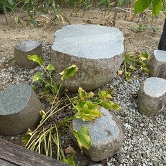 高級テーブルセットの画像