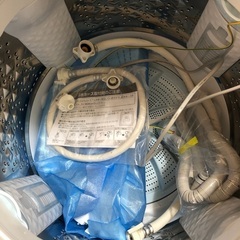 東芝　洗濯機　2023年製　10kgの画像