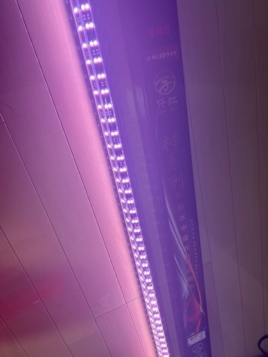 アロワナ紅龍用水中LEDライト150cm用
