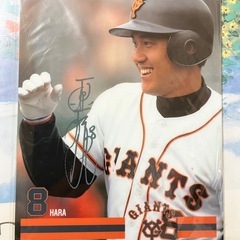 原辰徳　下敷き