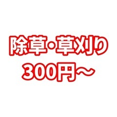草刈り¥300〜　お見積もり無料