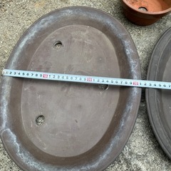 盆栽鉢の画像