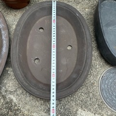 盆栽鉢の画像
