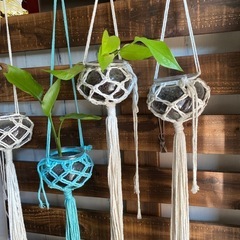 マクラメ編み観葉植物本日最終日になります‼️の画像