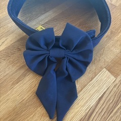 POLOサンバイザーの画像