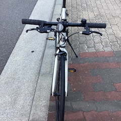 🚴 レユニオンの画像