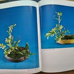 小原流様式集成　教本等　計6冊の画像