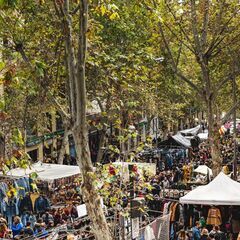 ◇彦根市金亀公園　金亀フードマルシェ　出店募集◇