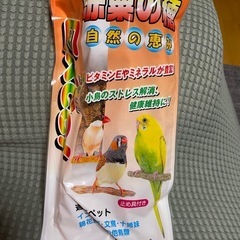 小鳥用⭐︎赤粟の穂⭐︎日高〜苫小牧間で
