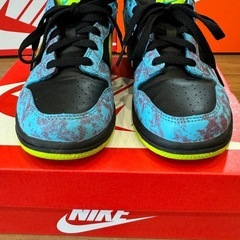 22㎝ NIKE DUNK LOW 箱付！の画像