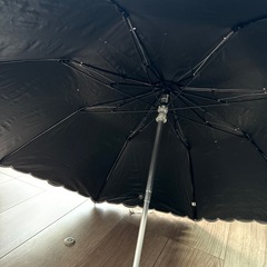 LANVINの日傘の画像