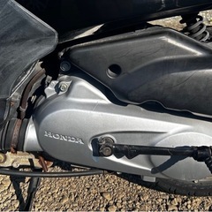 HONDA トゥデイ50cc 原付スクーターの画像
