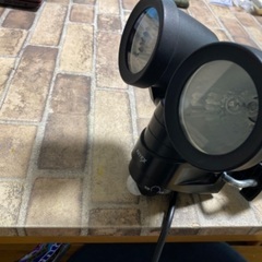 防犯センサーライト　100vの画像