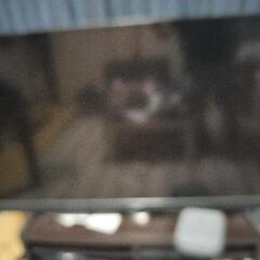 maxzen50型テレビ