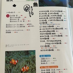 【お話中】小学館の図鑑NEO 魚の画像