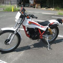 ホンダ　TLR200　東広島市　昭和のバイクですが！キレイにしてみました！実動で6速です！の画像
